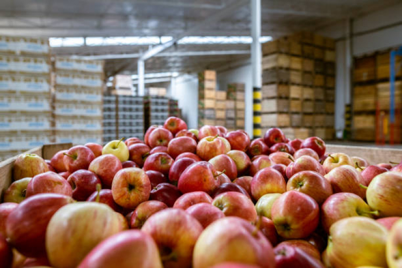 distribuidor de frutas para empresas